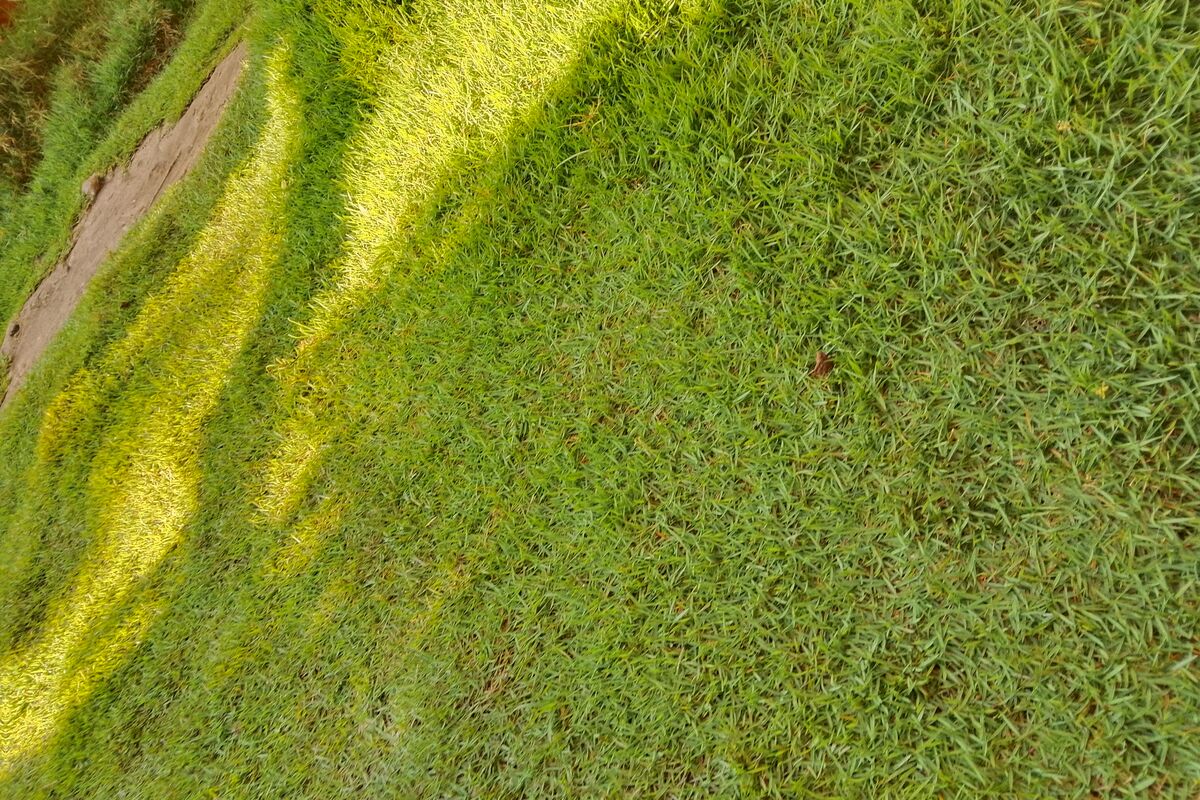 Bermuda