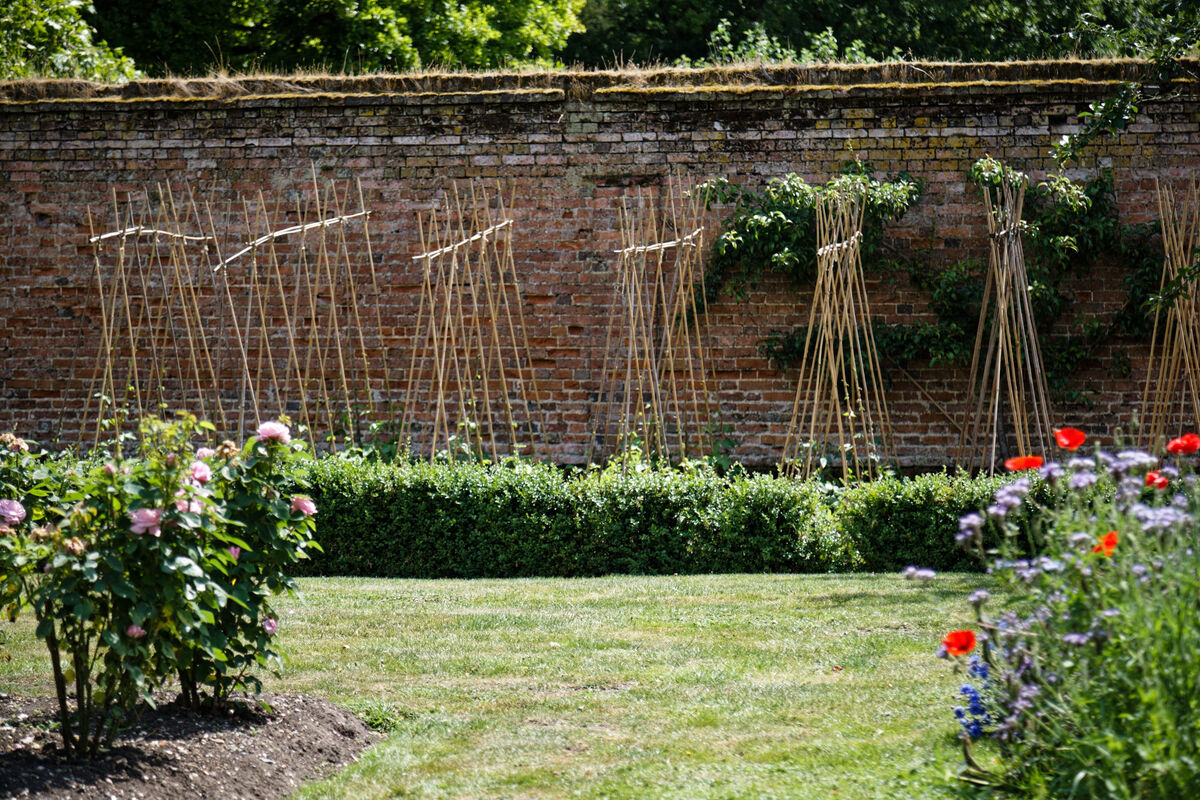 Vegetable Garden